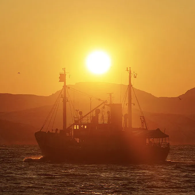 Eagle & Sunset cruise