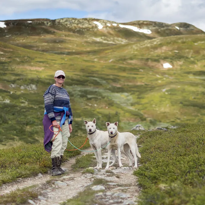 Husky hiking