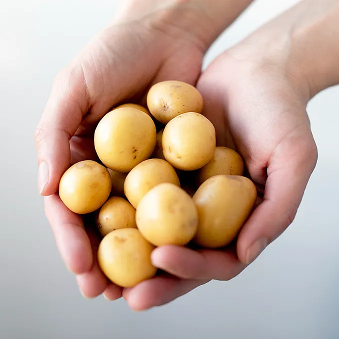 Øl- og akevittsmaking