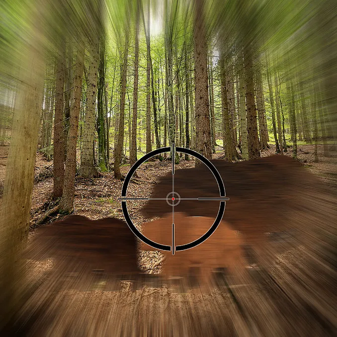 Jaktsimulator for to