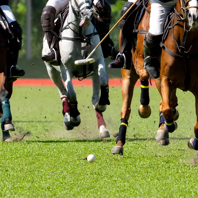 Prøv hestepolo