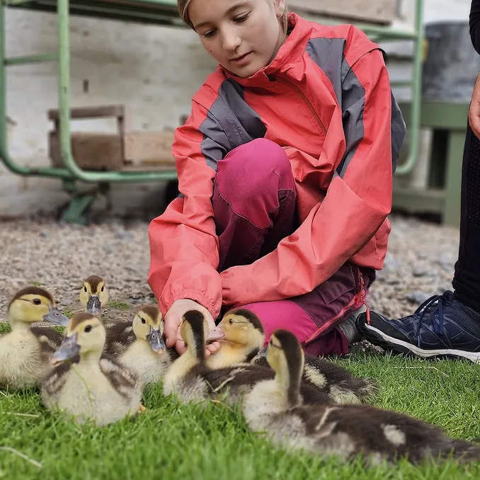 Gårdsbesøk for familien