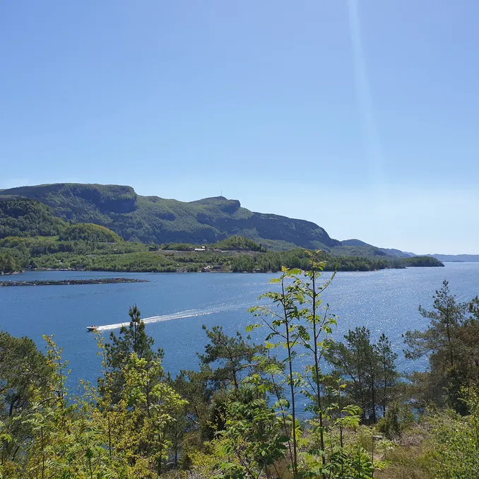 Diamant Panoramahytta