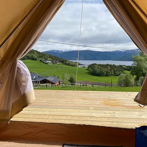 Glamping & alpakkavandring