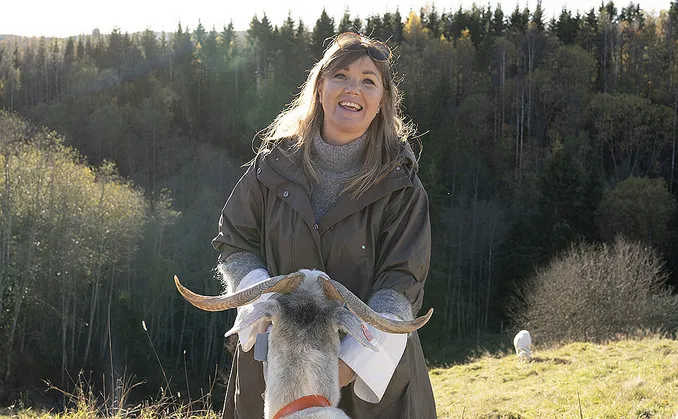 Geitevandring for to