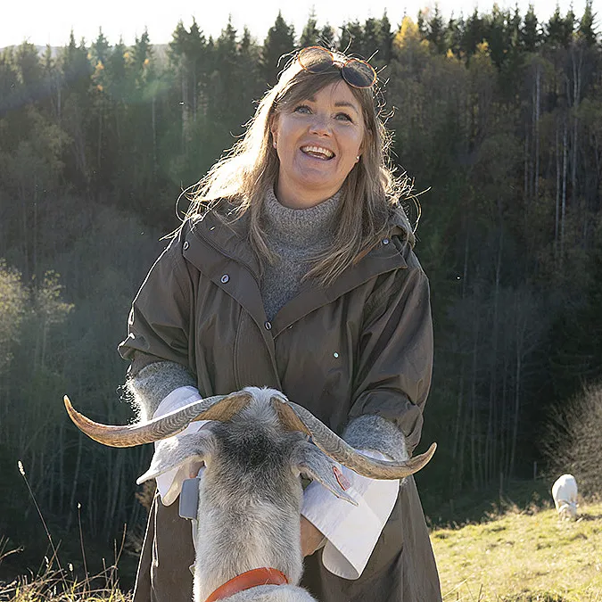 Geitevandring for to