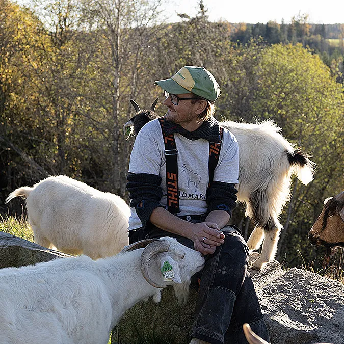 Geitevandring for to