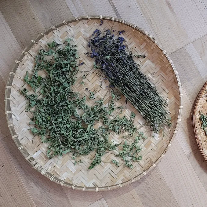 Sankekurs av urter og spiselige blomster