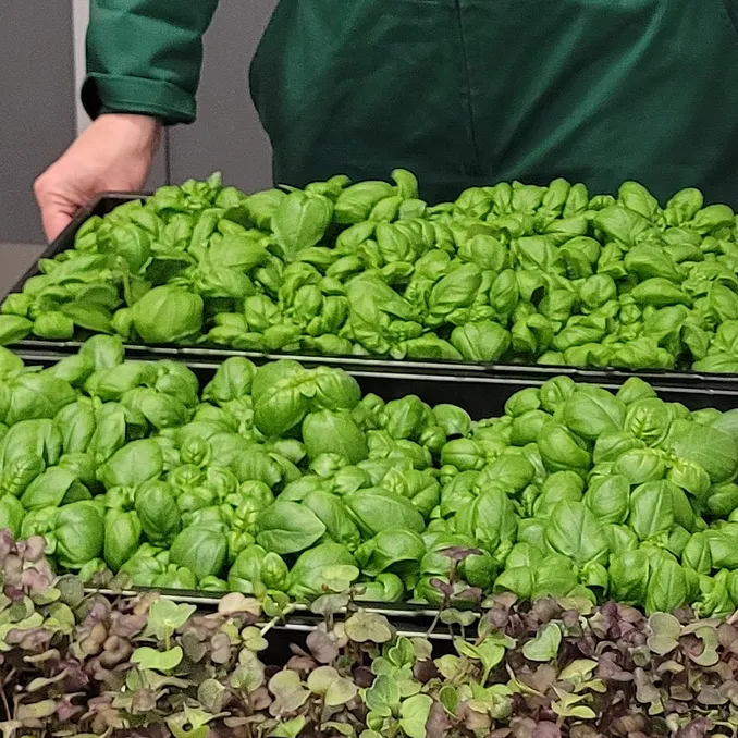 Kurs i hjemmedyrking