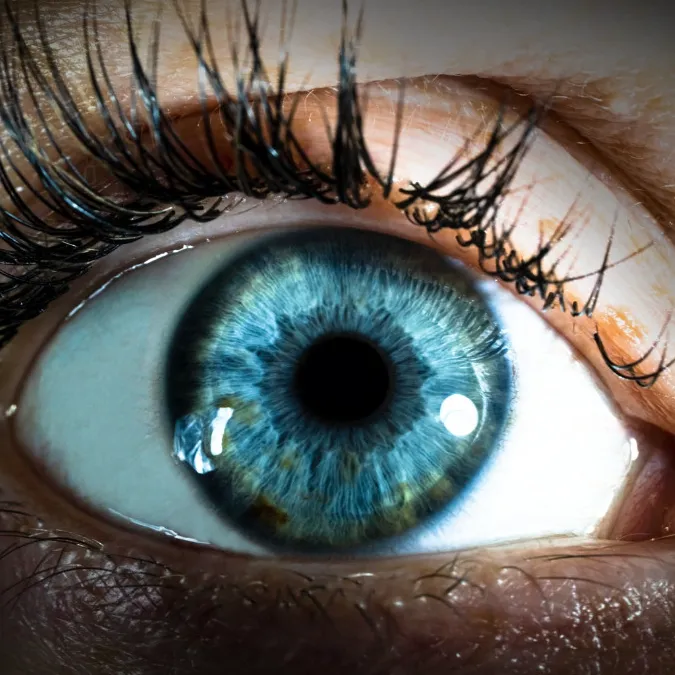 Ditt øye som kunst