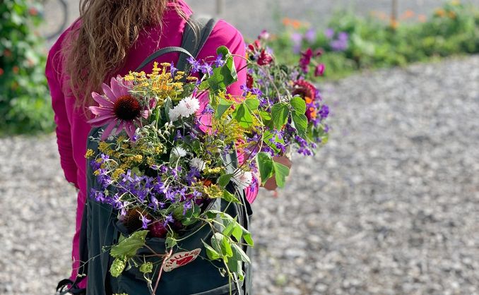 Sankekurs av urter og spiselige blomster