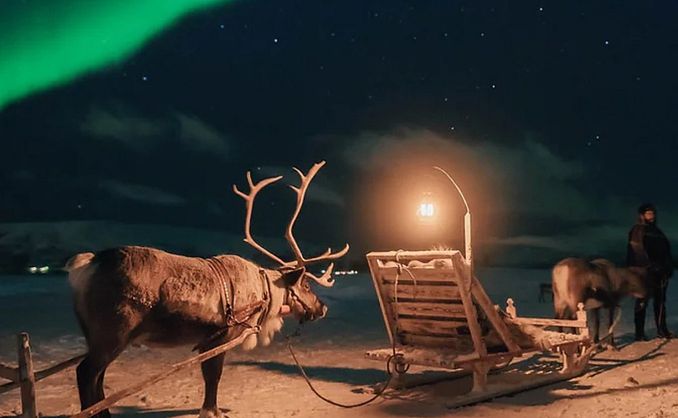 Reinsdyrsafari med sameleir og middag