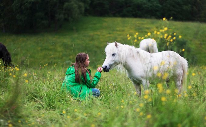 Ponniridning i skogen