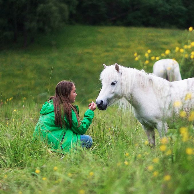 Dyrepasser for en dag