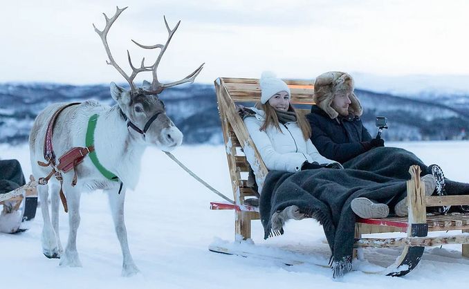 Reinsdyrsafari deluxe