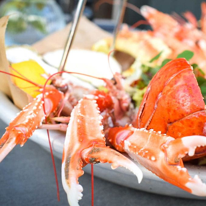 Skalldyrtallerken for to