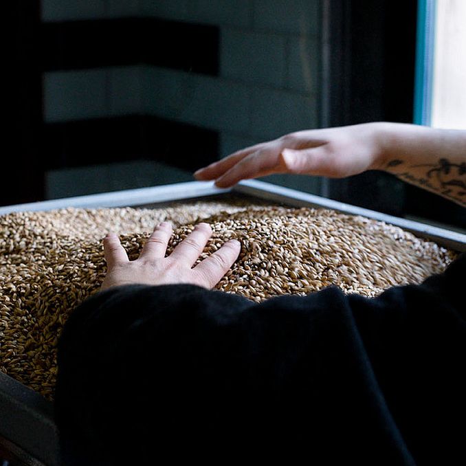 Ølsmaking og bryggeriomvisning