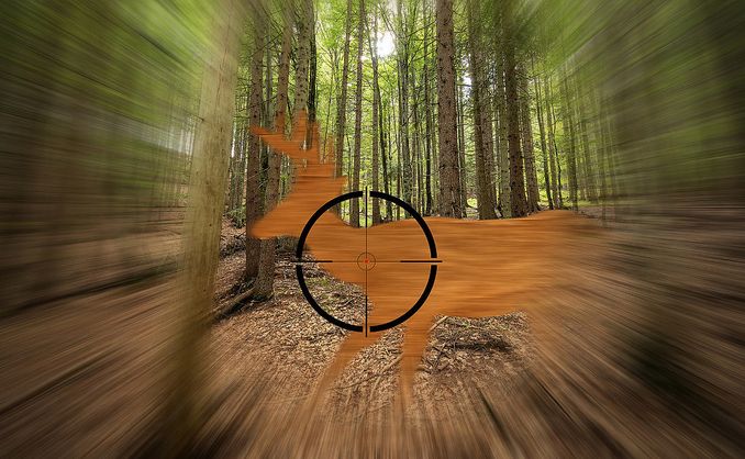 Jaktsimulator for to