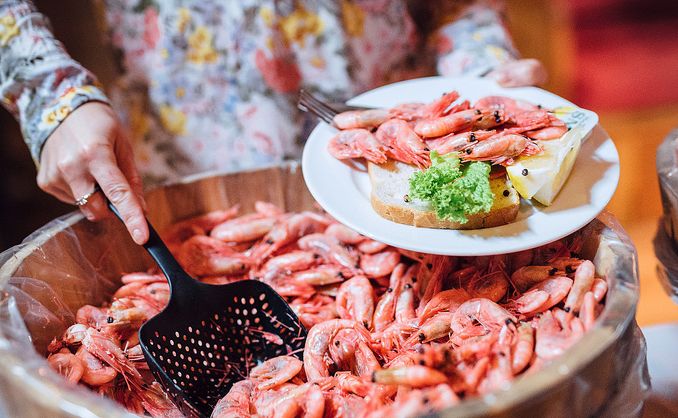 Fjordcruise med rekebuffet