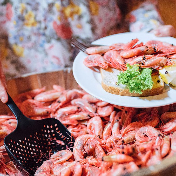 Fjordcruise med rekebuffet